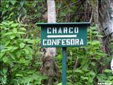 Bosque Estatal de Toro Negro - OROCOVIS, JAYUYA, JUANA DÍAZ